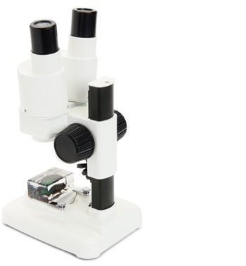 Microscopio Labs S20 Stereo Celestron