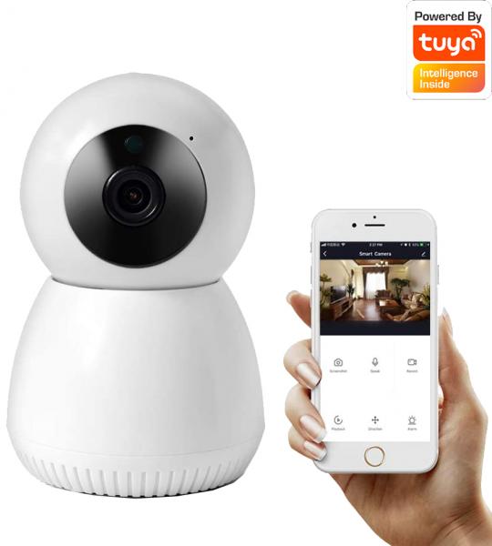 Den-IIC215-1.jpg Camara IP Interior Security IIC-215 Denver - Imagen 1