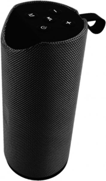 Alt Portatil TWS FM/BT/USB/Tj/Aux 25w Negro Hamann