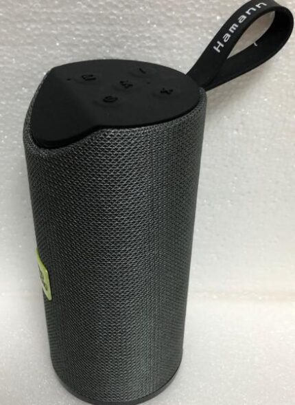 Alt Portatil TWS FM/BT/USB/Tj/Aux 25w Gris Hamann